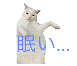 542972372