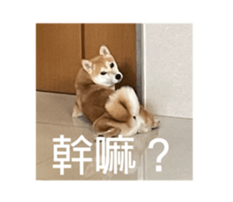 542994104