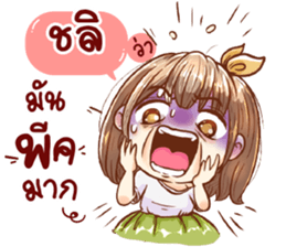 54300657