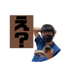 543058017