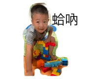 543062727