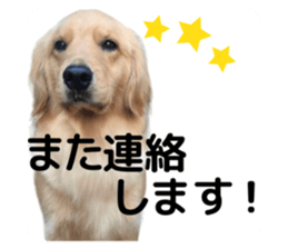 543068897