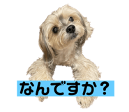 543070721
