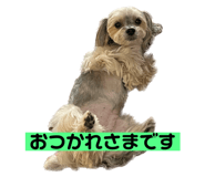 543070724
