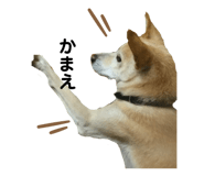 543123571