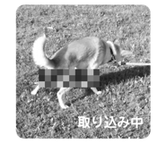 543123581
