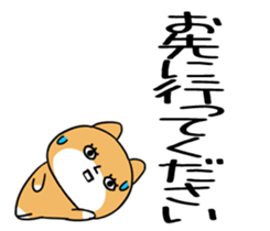 543132636