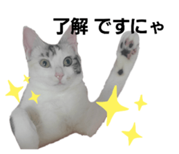 543223313