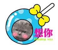 543228777