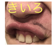543229093