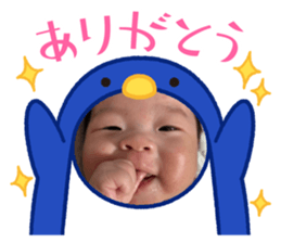 543230888