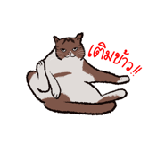 543254248