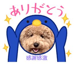 543259658