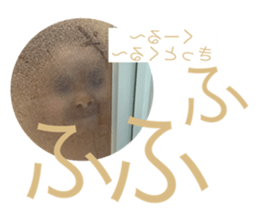 543281825