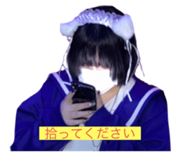 543306169