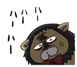 5433071