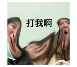 543307388