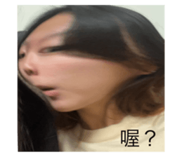 543307391