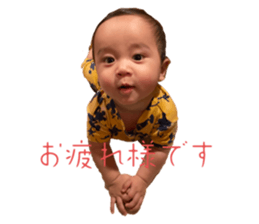 543309991