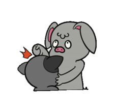 543311580