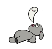 543311581