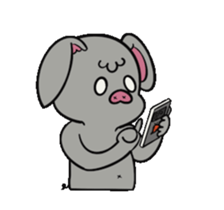 543311590