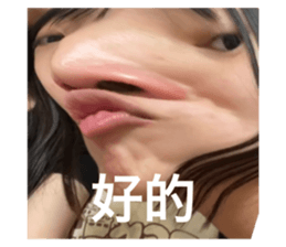 543313043
