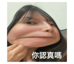543313044