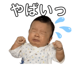 543313501