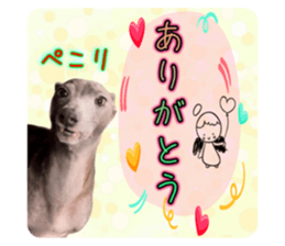 543314594