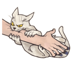 5433146