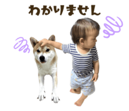 543342808