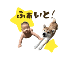 543342817