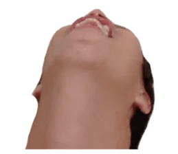 543397782