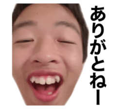 543397784