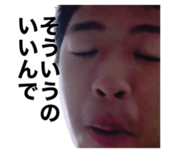 543397797