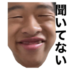543397798