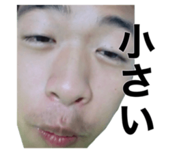 543397808