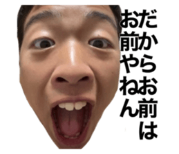 543397811