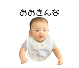 543445681
