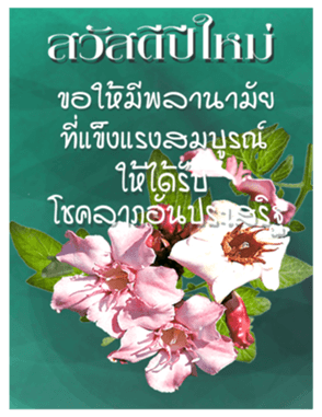 543467253