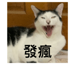 543477848