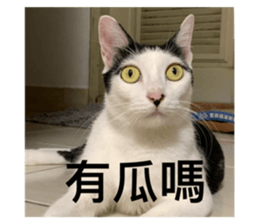 543477850
