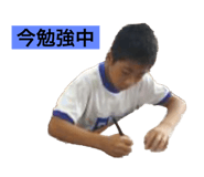 543485194