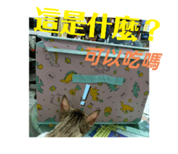 543489843