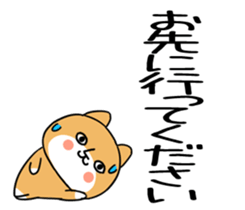 543491532