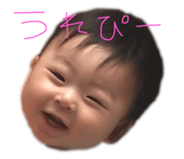 543504566