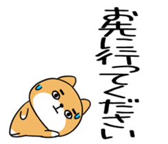 543509060