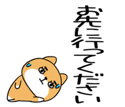 543509428