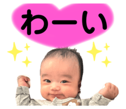 543515228